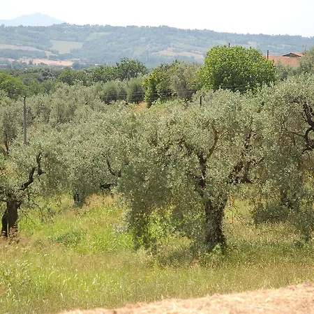 Podere San Giovanni *