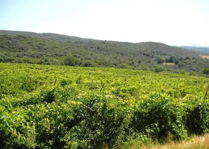 Podere San Giovanni Casa de Férias *